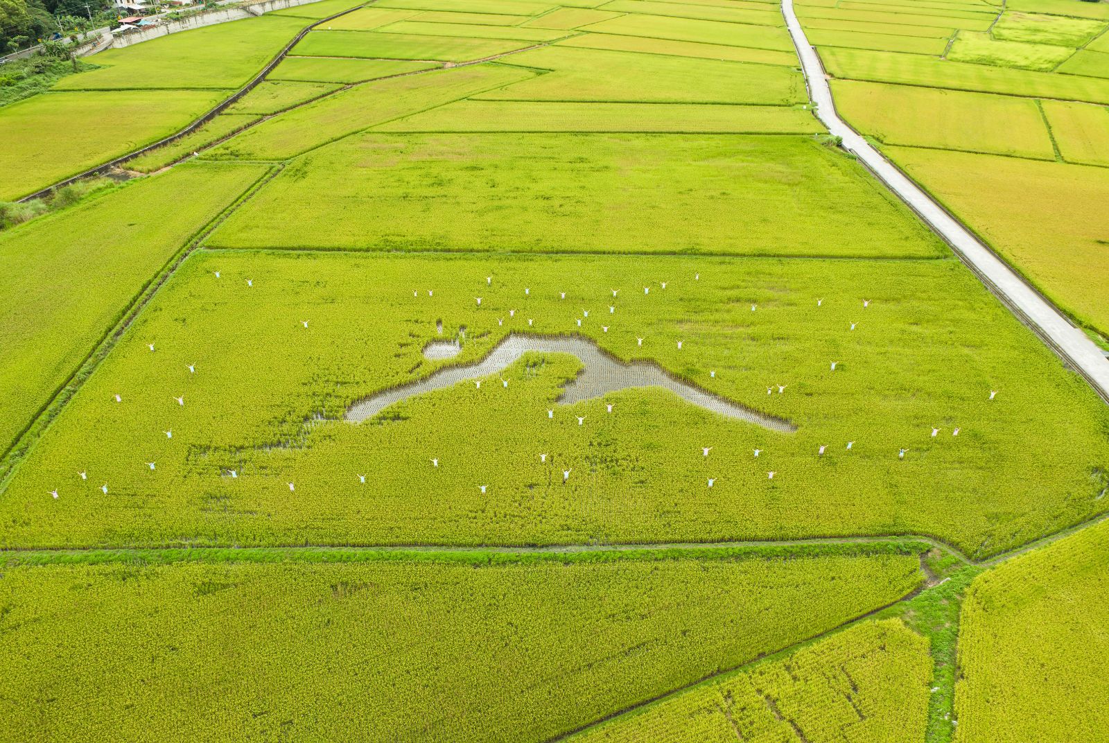玉山銀行-瓦拉米計畫-永續食材-SDGs-Farm to Table