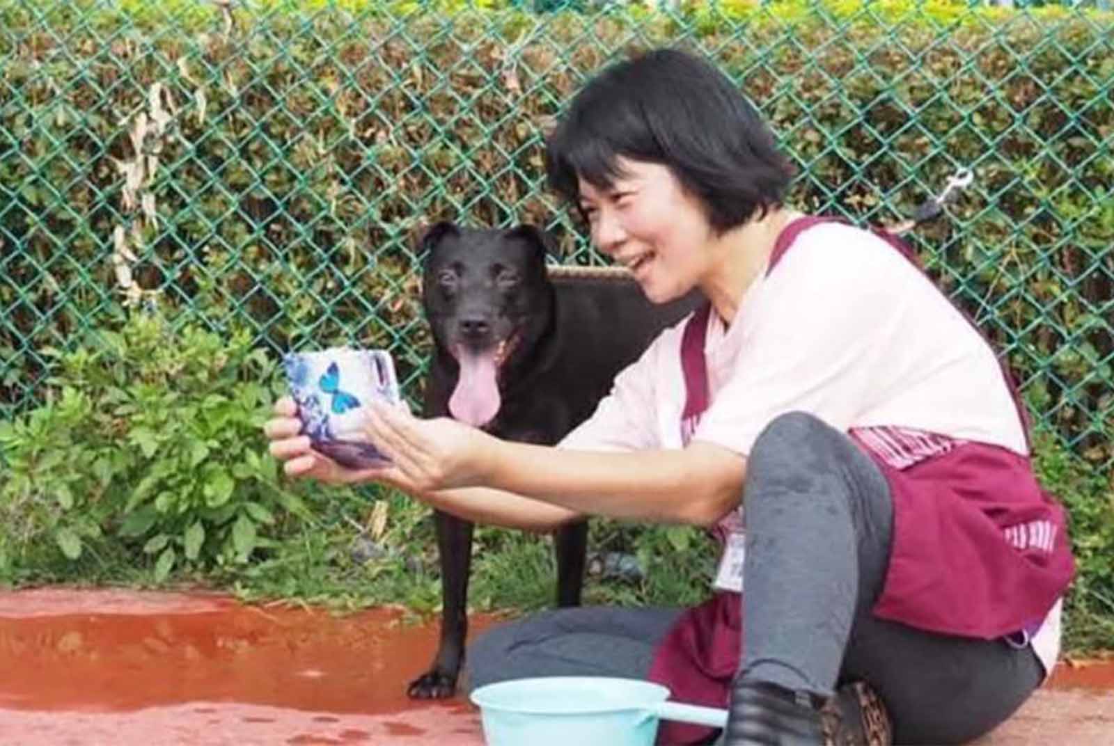 離開職場20年　54歲的她，為流浪動物重拾工作：現在是我夢想的起點