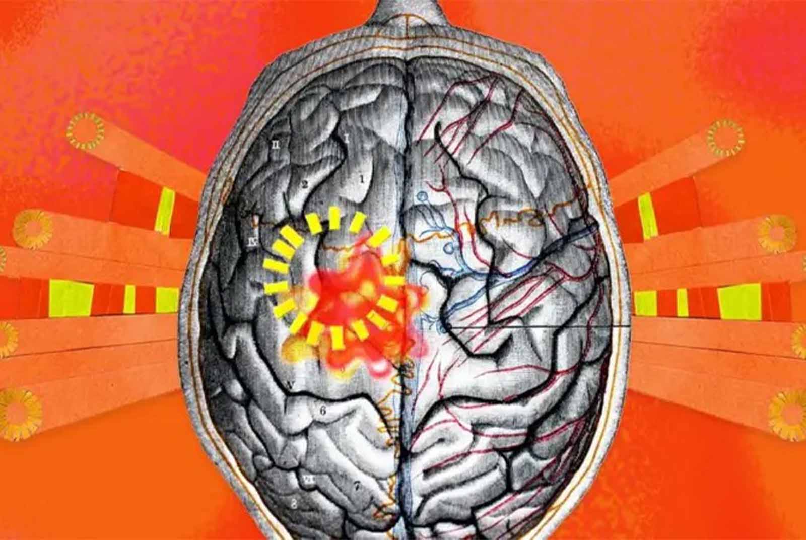 天氣太熱會變笨？最新研究：全球暖化正傷害大腦健康
