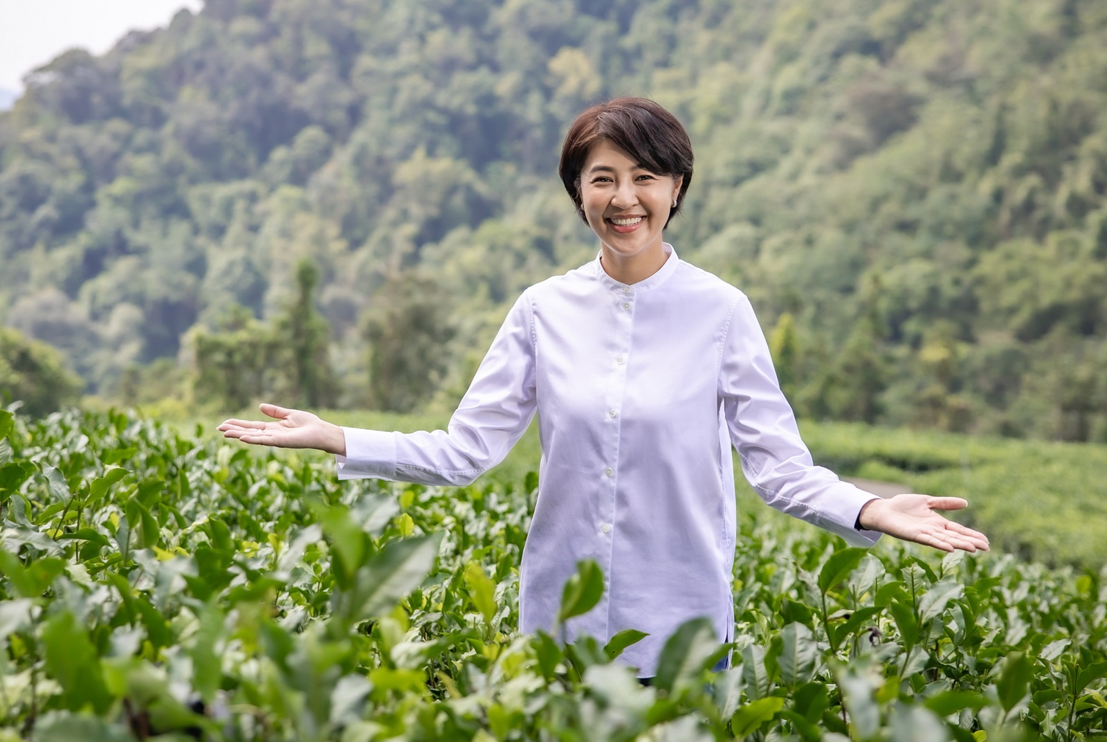 茶香與焰火共舞，重塑南投旅遊新熱潮