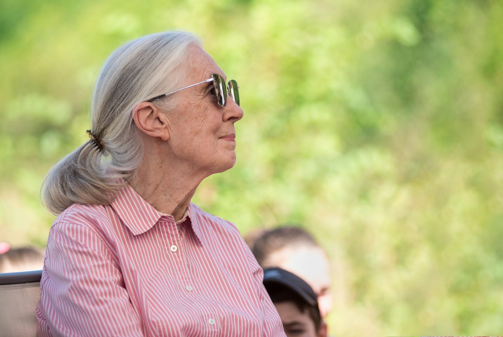 珍古德-Jane Goodall-黑猩猩-保育