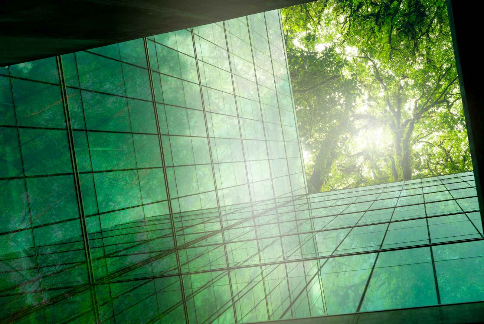 天下永續公民獎-ESG-CSR-緯創-光寶-國泰金-中華電信