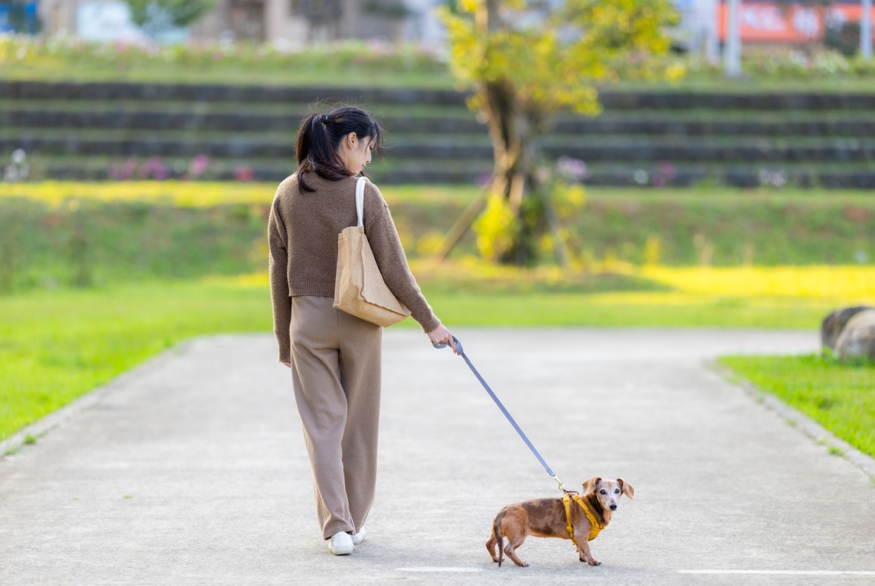 單純走路太無聊？4招提高代謝、增加燃脂