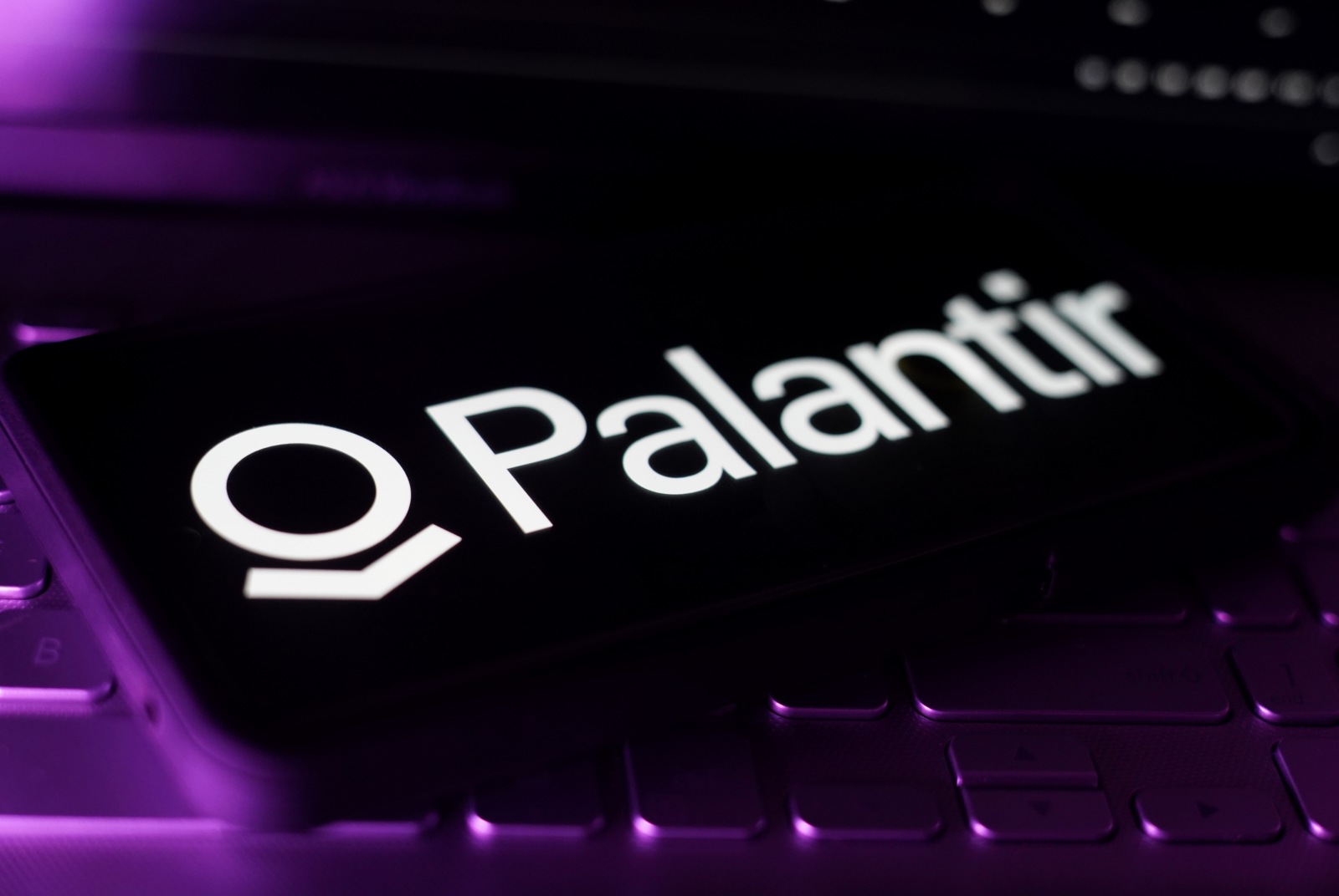 Palantir股價比輝達還貴，但散戶可能是對的