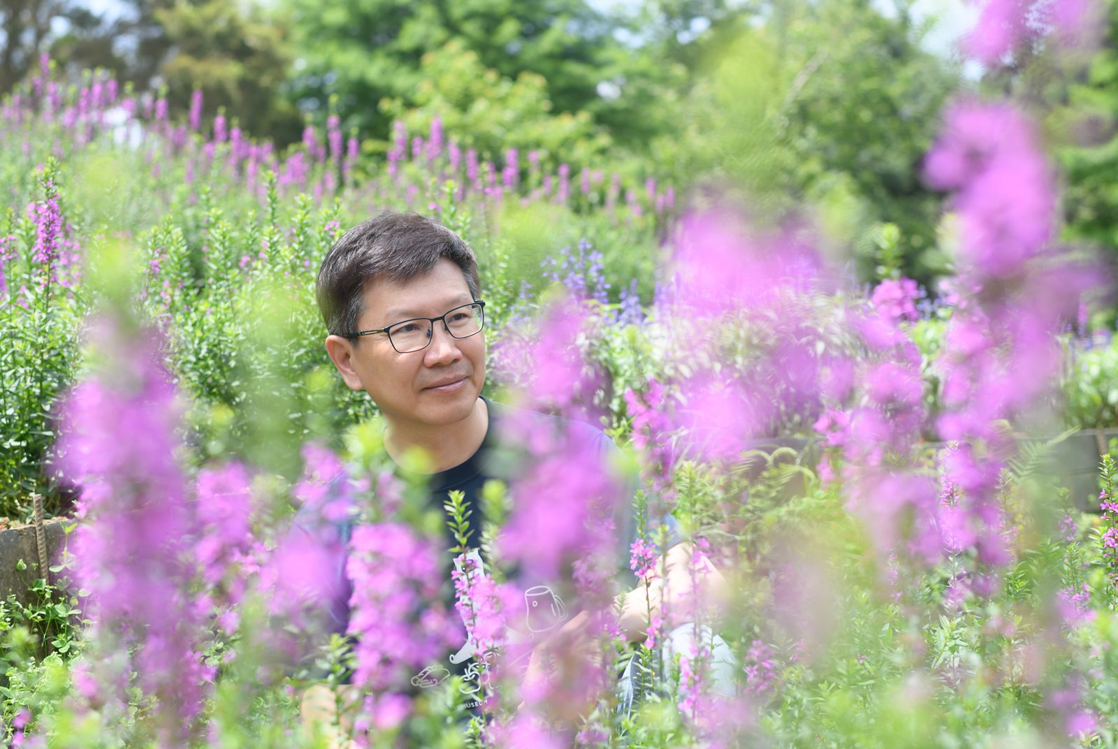 CEO的修煉場-薰衣草森林-王村煌-北海道-旅遊-創業
