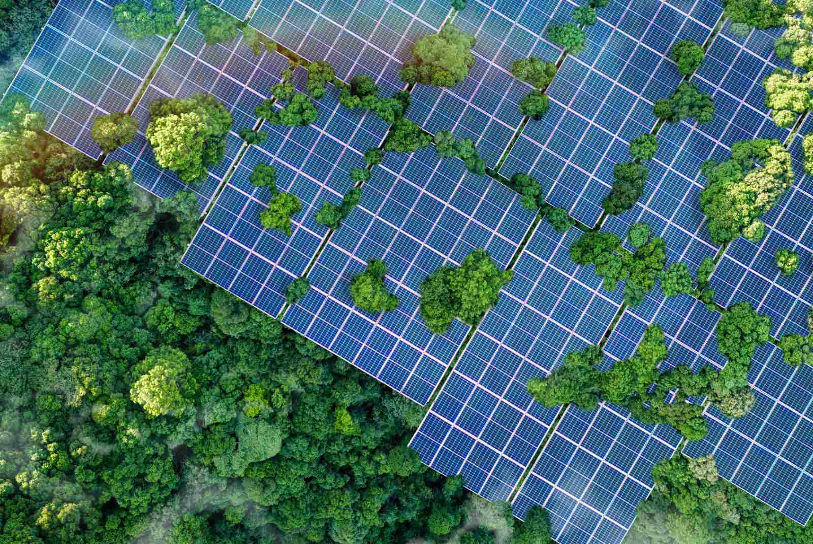 能源智庫：綠電變便宜，還兼顧能源安全