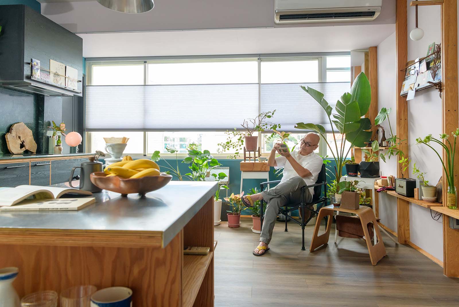 老屋-改造-植物-我的完美日常-空間-建築-室內設計-工程-療癒