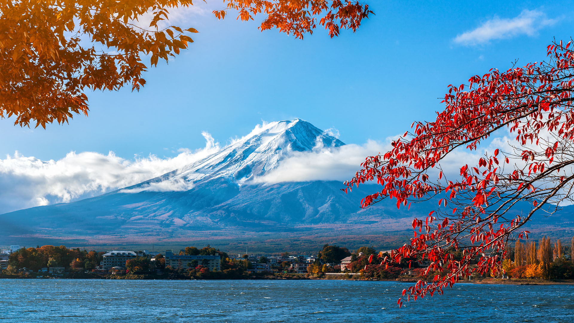 達人帶路，日本深度旅行指南