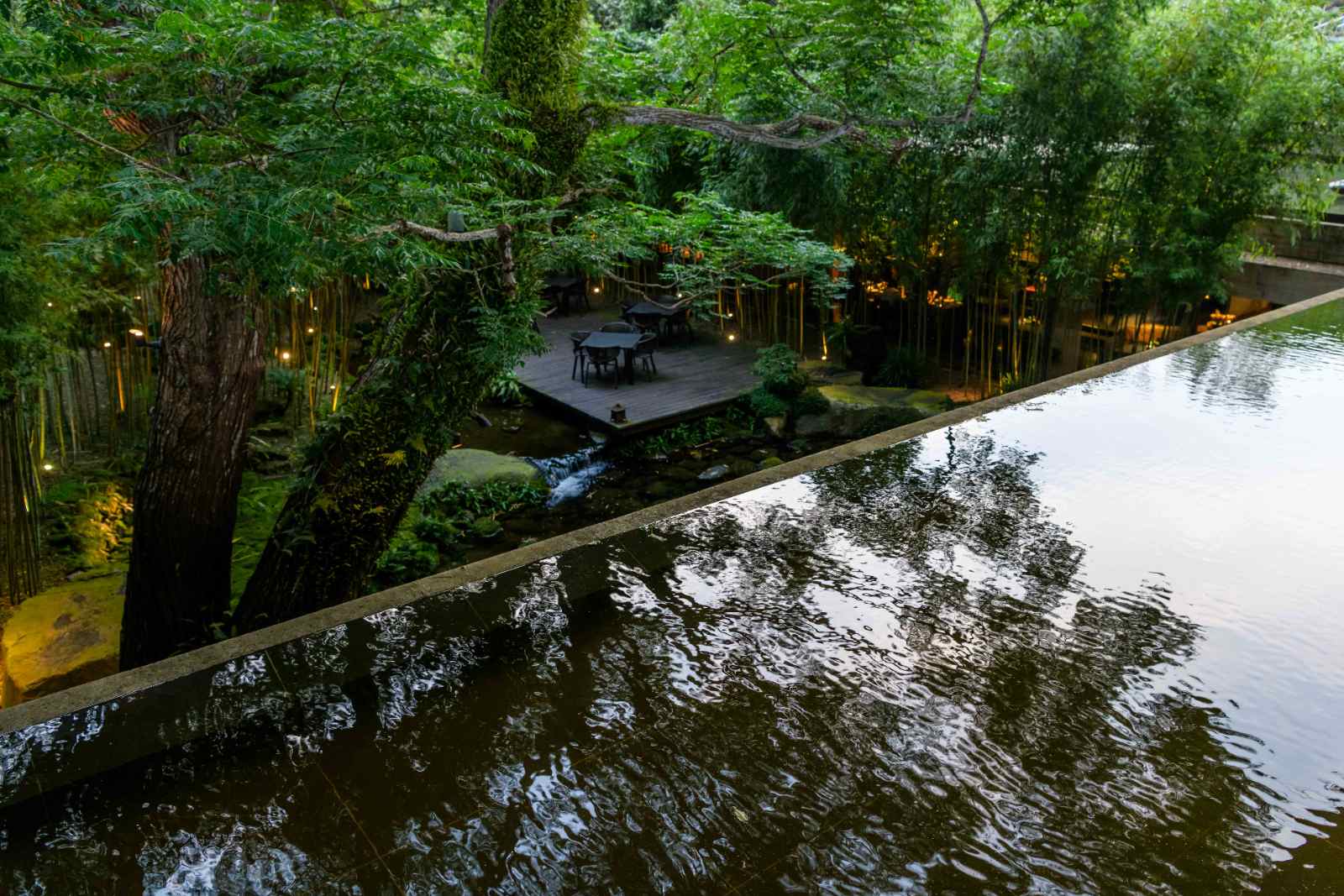 油桐花-旅行-健行-苗栗三義-客家-挑炭古道