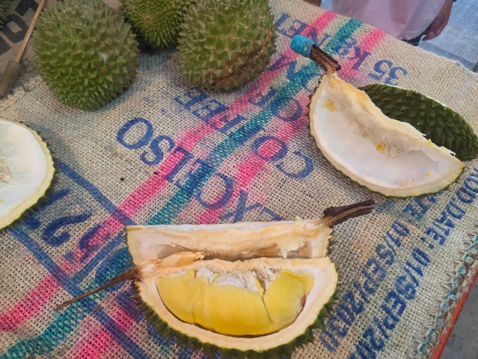 台灣榴槤