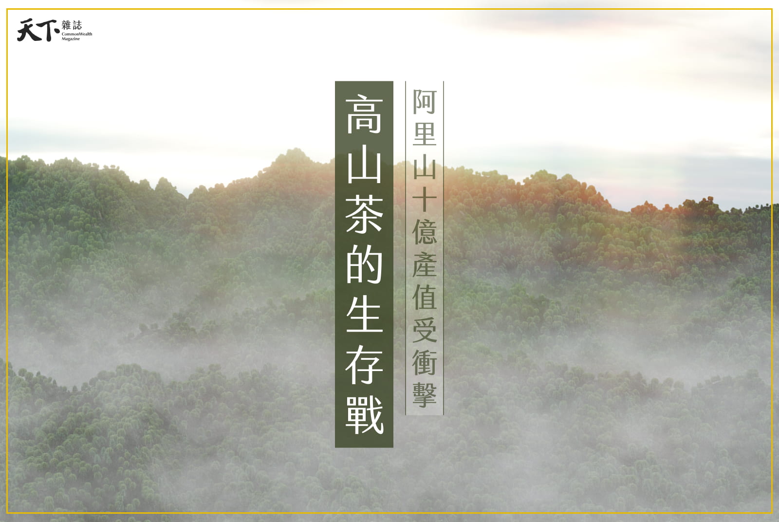 10億「茶金」受衝擊！阿里山沒雨沒霧，手搖好味道會消失嗎？
