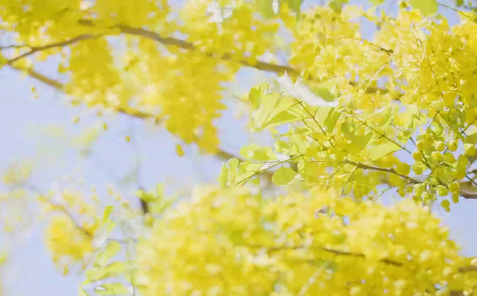 經典小鎮共享慢活旋律，國際級休閒場景—苗栗｜天下實驗室｜天下雜誌video