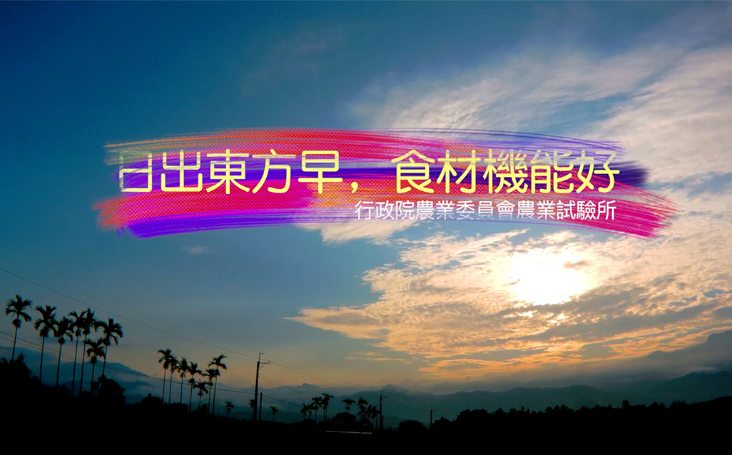 日出東方早 食材機能好｜天下實驗室｜天下雜誌video