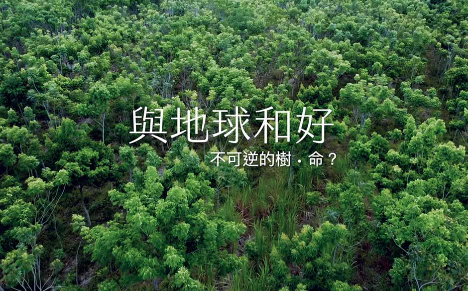 【與地球和好】第一集 砍46萬棵樹種太陽能板 這算綠能永續嗎？｜主題特展｜天下雜誌video