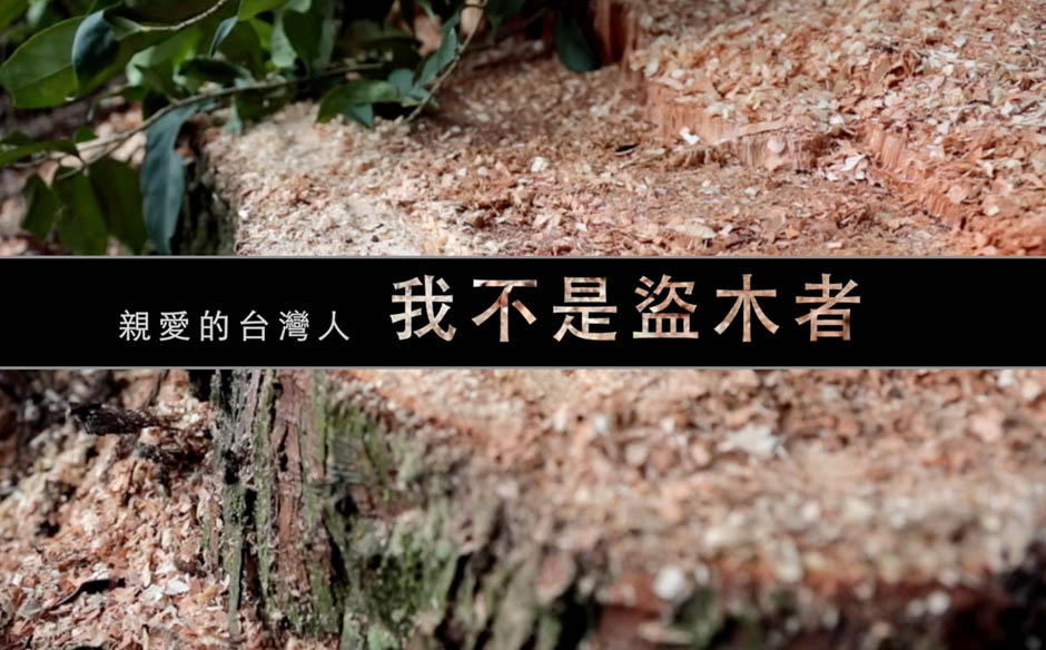 不砍樹，你家的衛生紙從哪來？但有一種森林認證可以支持｜主題特展｜天下雜誌video