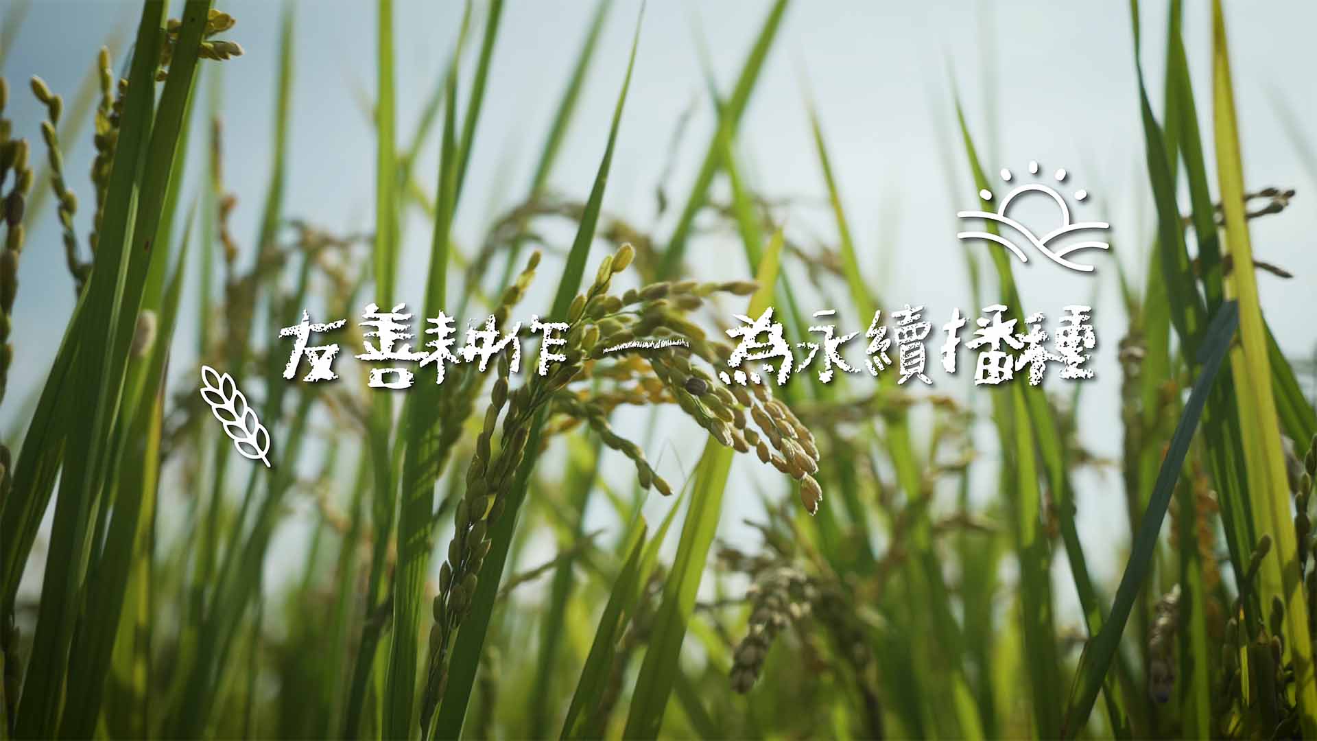 『友善耕作─為永續播種』── 5個與土地共生的農耕故事｜天下實驗室｜天下雜誌video