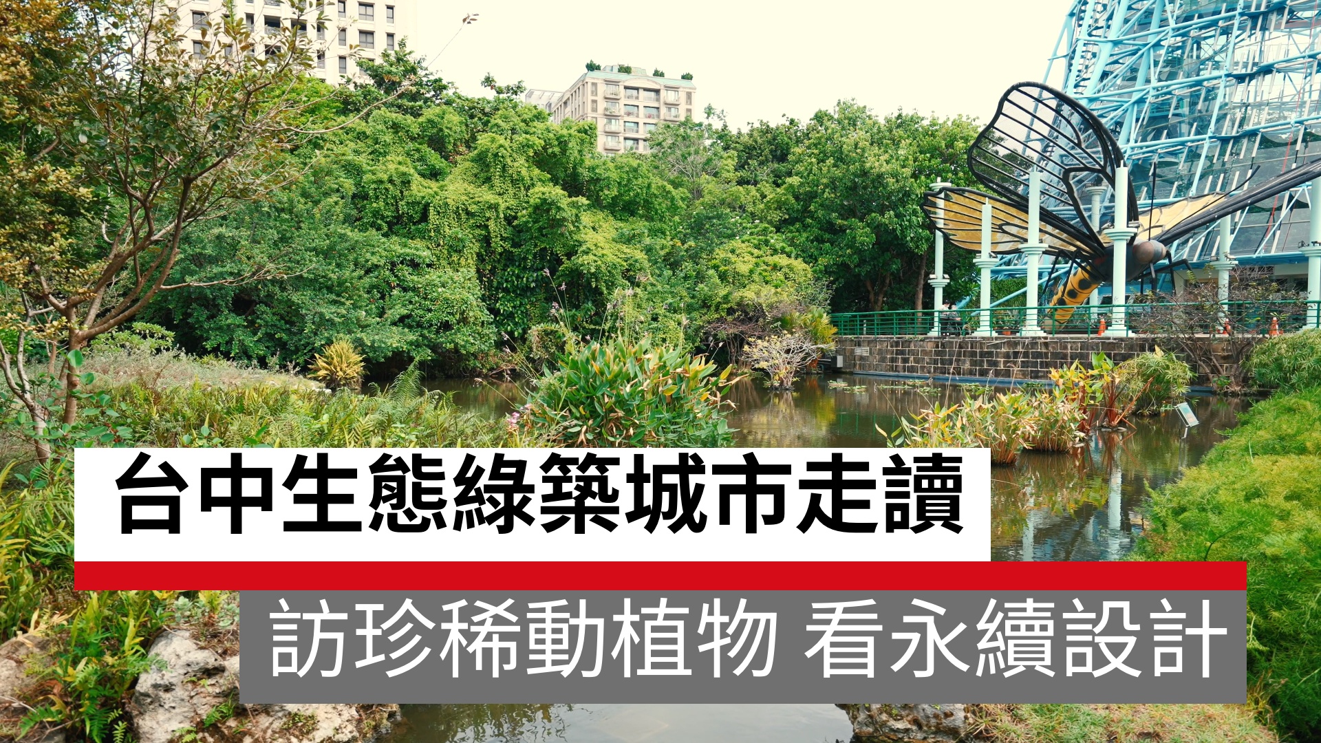 台中生態綠築城市走讀 訪珍稀動植物、看永續設計｜天下實驗室｜天下雜誌video